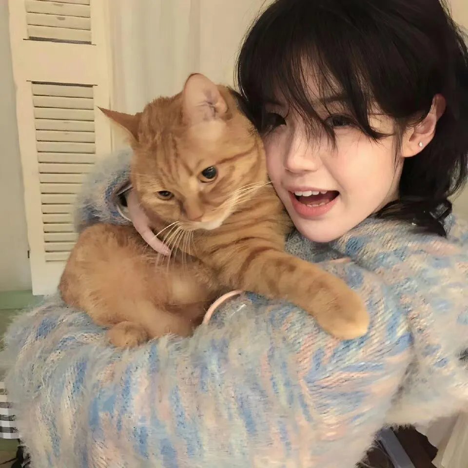 爱的笨猪跳